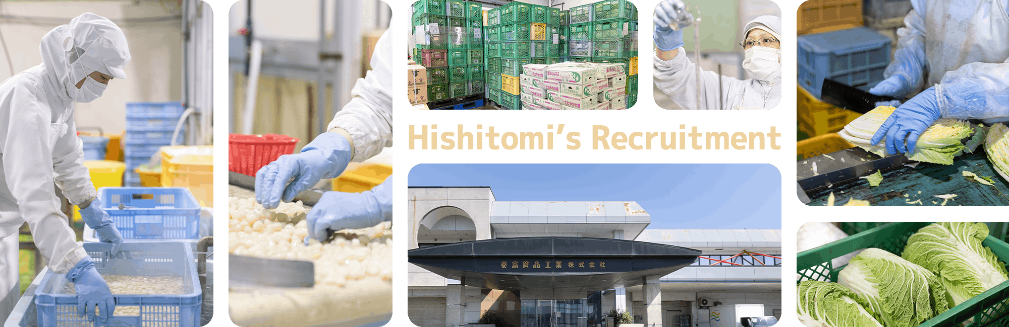 菱富食品工業のリクルート情報