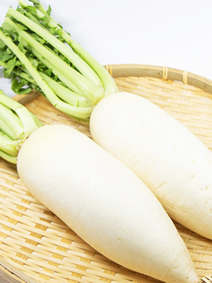 加賀野菜｜源助大根