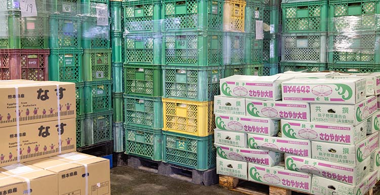 野菜の入荷